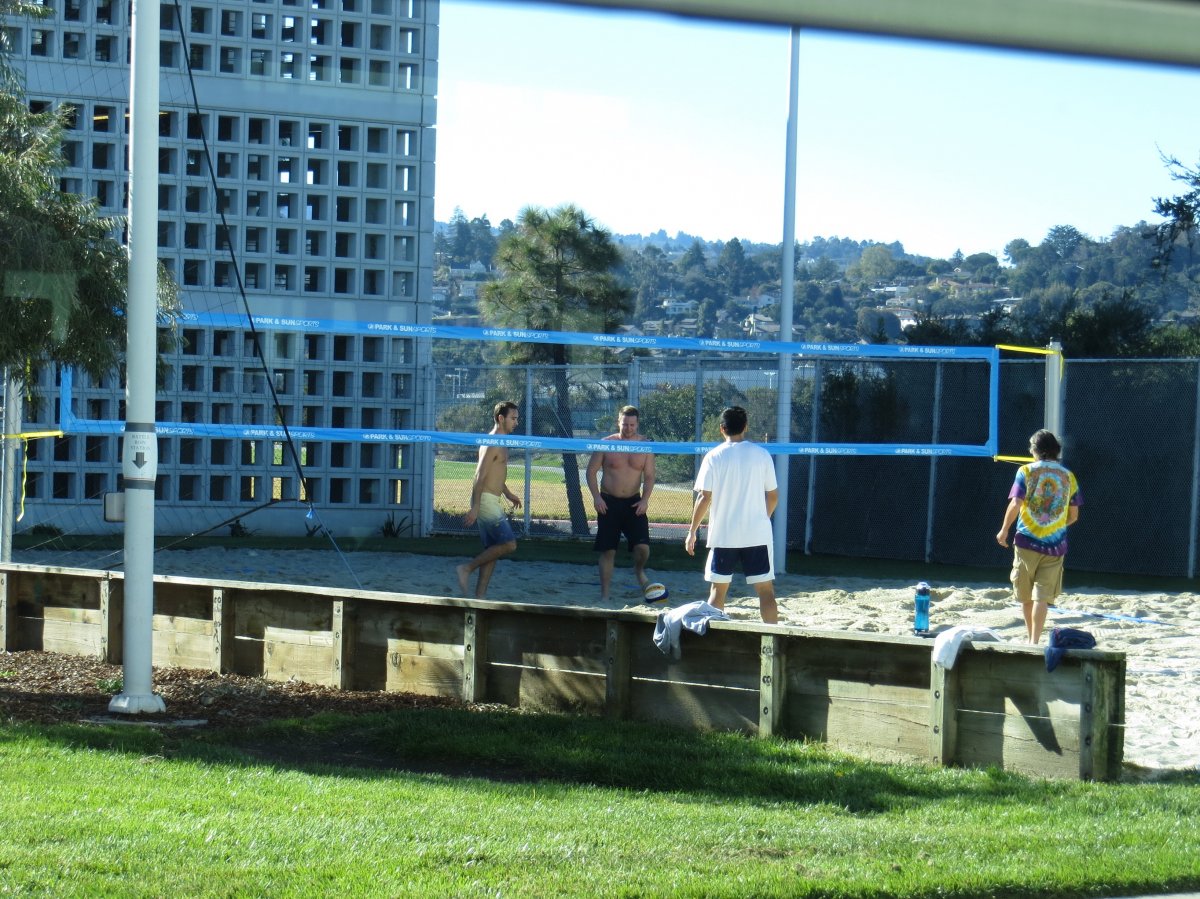 bolleyball