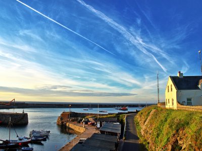 7-guernsey
