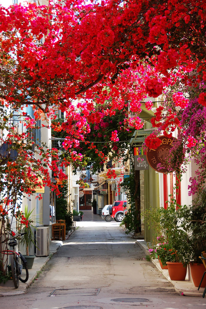 beautiful-streets-trellis-canopies-10 700
