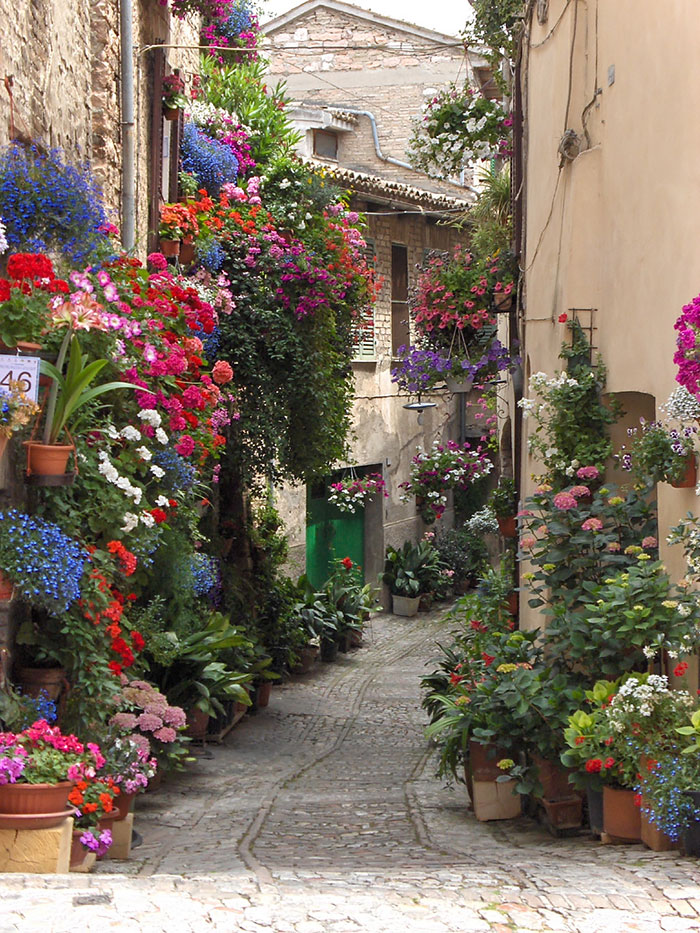 beautiful-streets-trellis-canopies-11 700