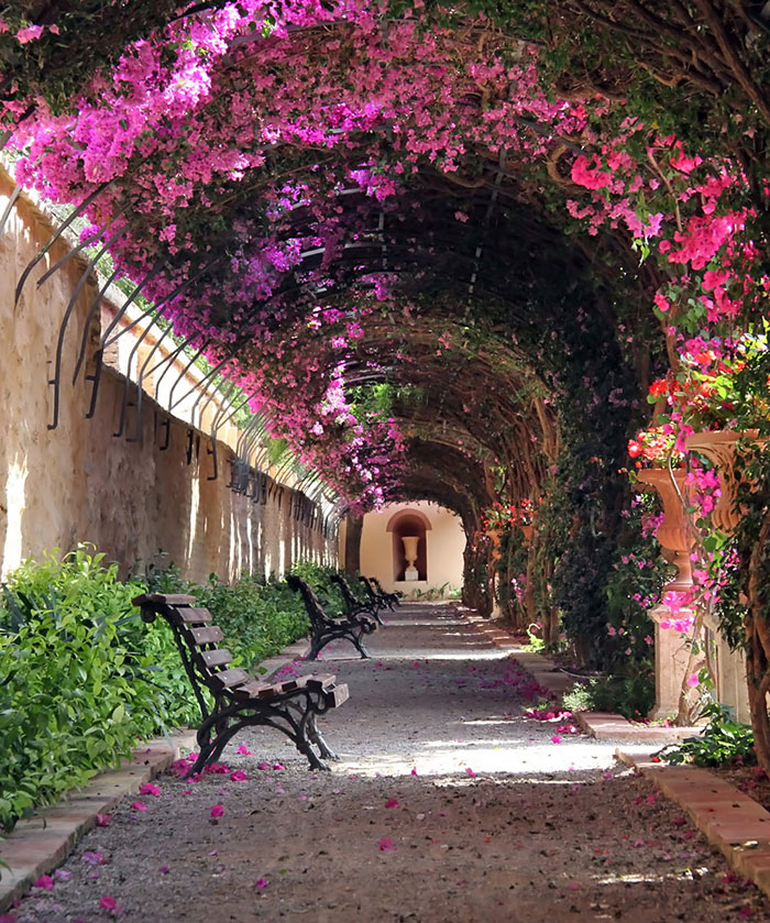 beautiful-streets-trellis-canopies-8 700