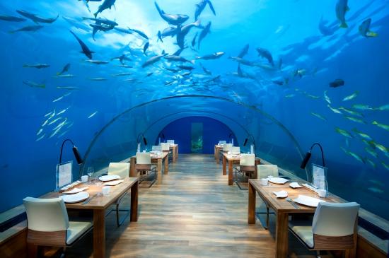 ithaa-undersea-restaurant