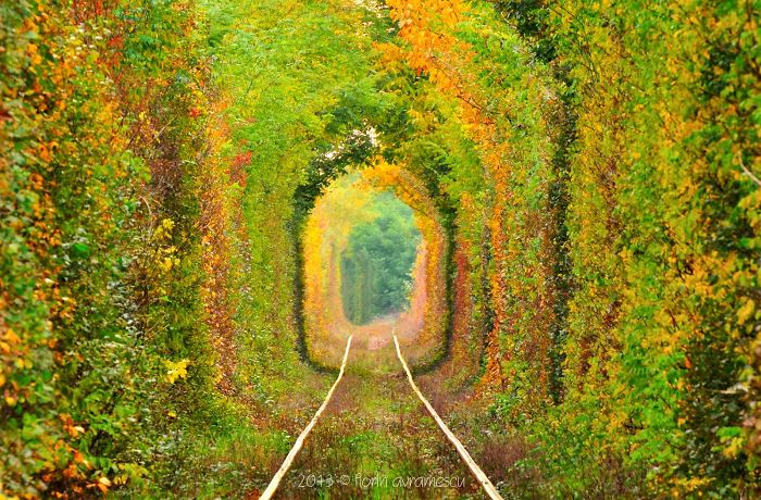 tunel-pastel 700