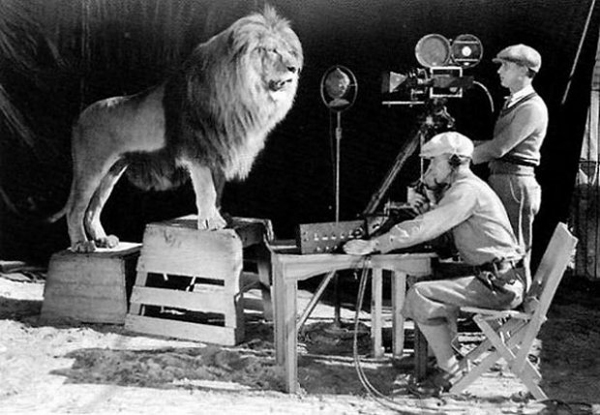 MGM lion