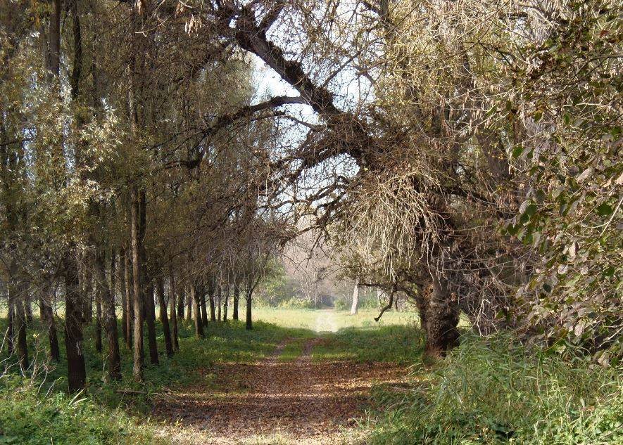 liberland 3