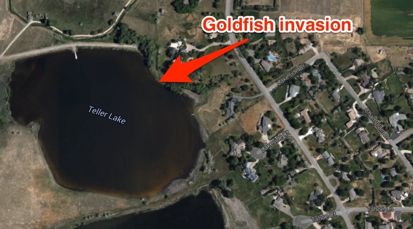 teller_lake_skitch.jpg