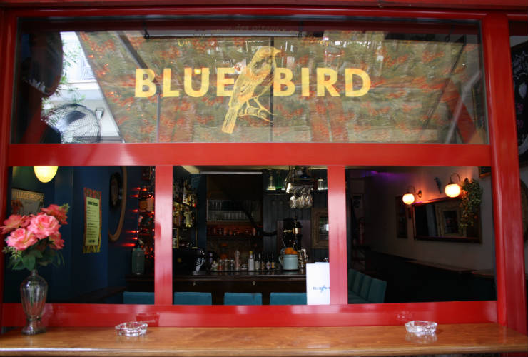 blue bird