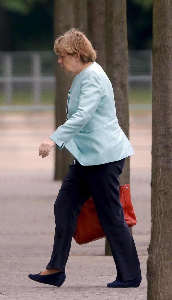 merkel3