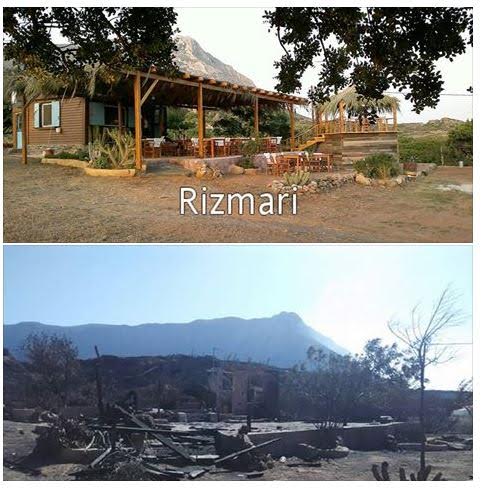 rizmari 2