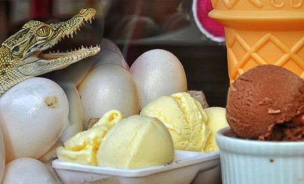 crocodile icecream