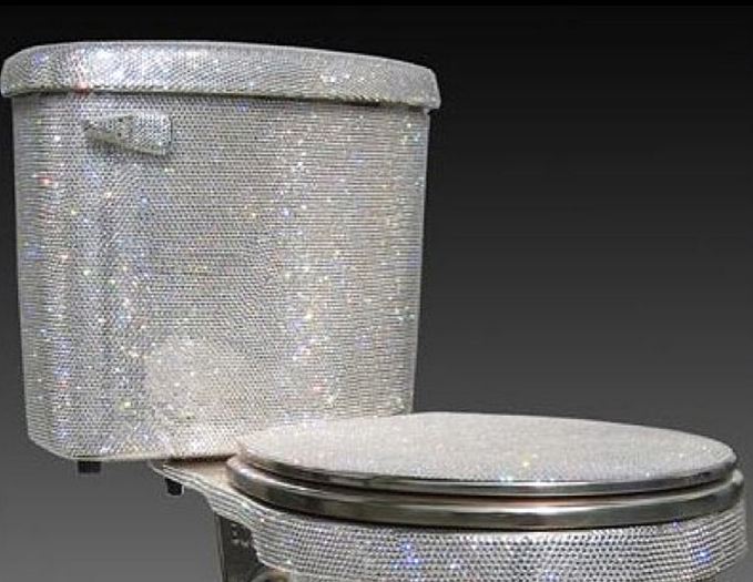 toilet_2.JPG