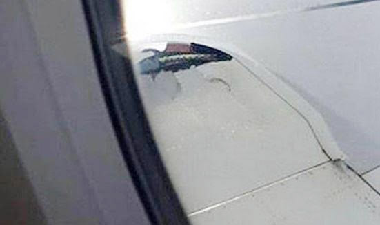 aeroplano_4.jpg