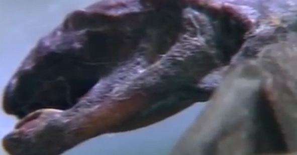 alien_3.JPG