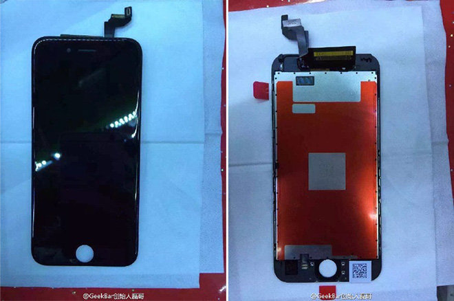 iPhone 6s and 6s Plus