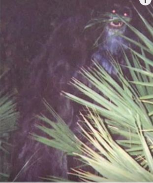 mysterious_4.JPG