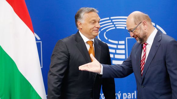 orban schulz