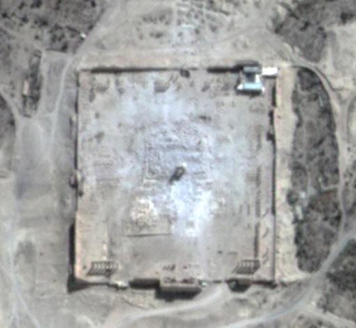 palmyra11