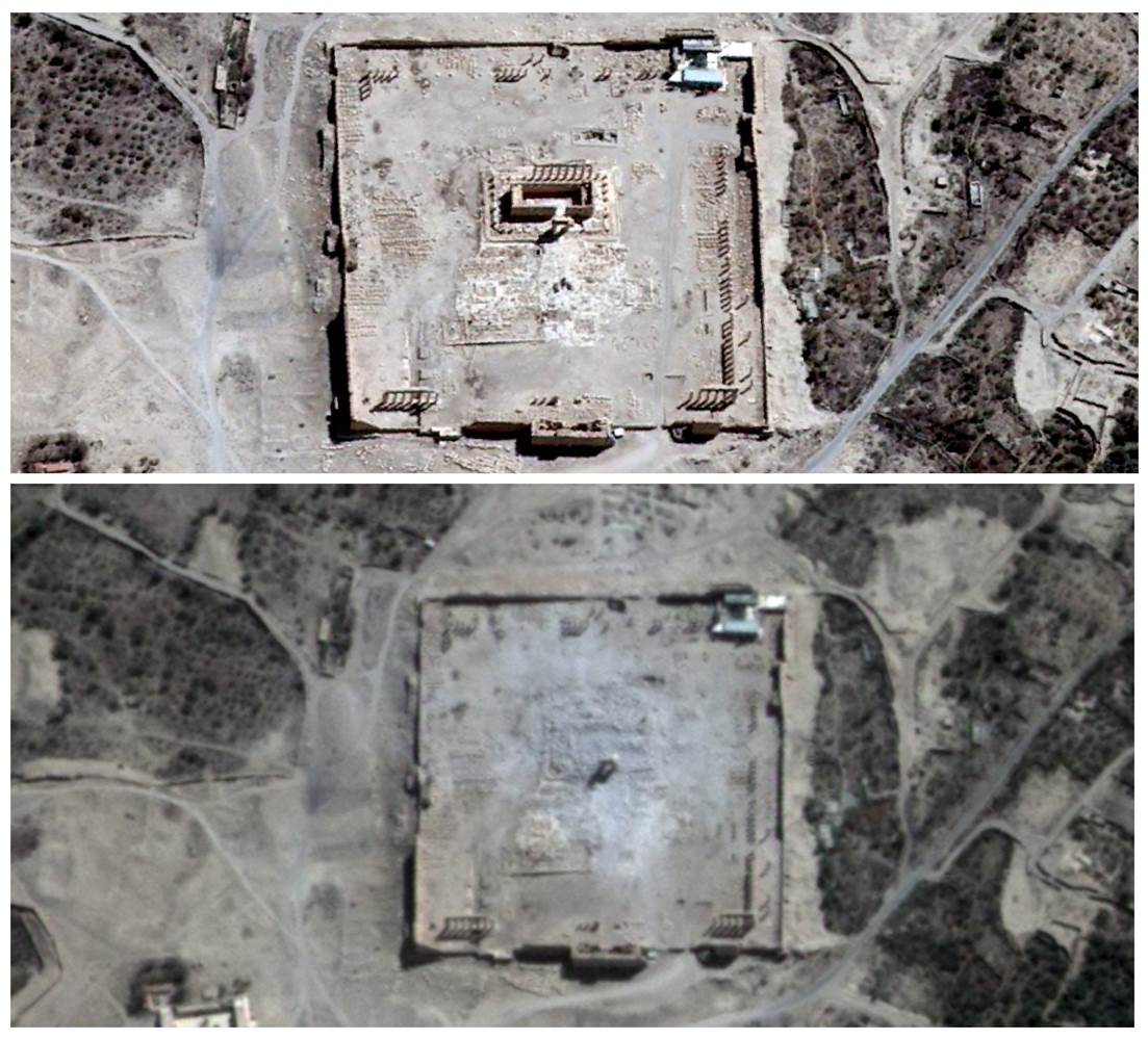 palmyra12