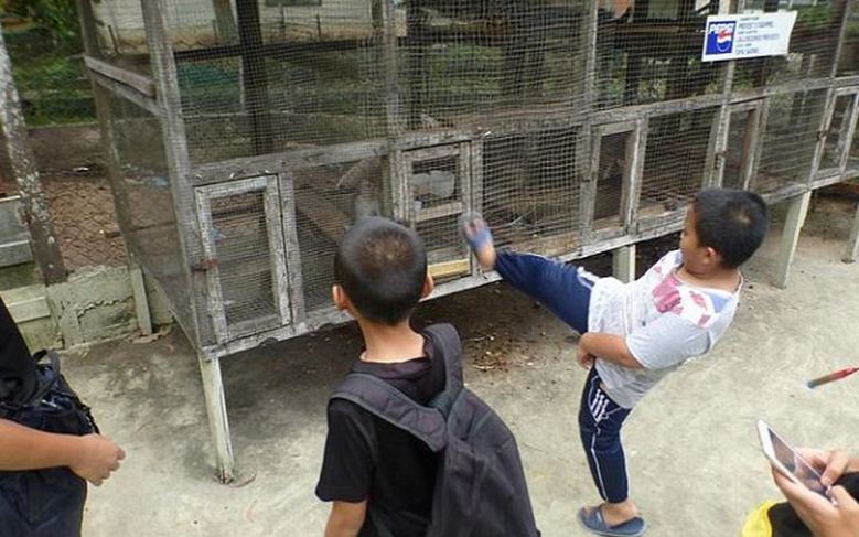zoo_1.JPG