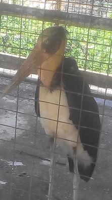 zoo_1.jpg