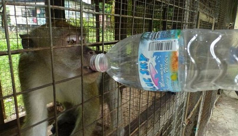 zoo_4.JPG