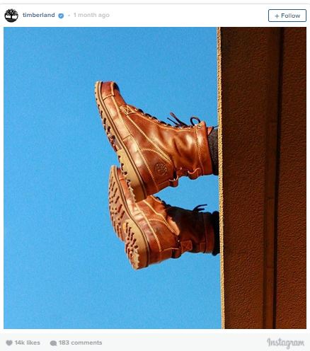 timberland_2.JPG