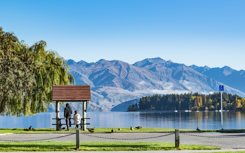 harry-wanaka 3510662k