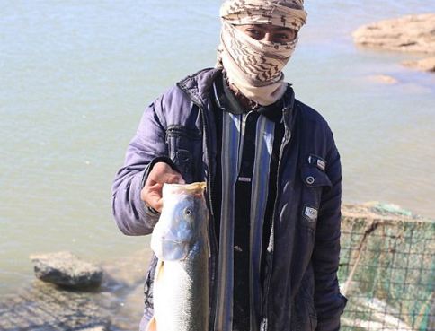 isil_5.JPG
