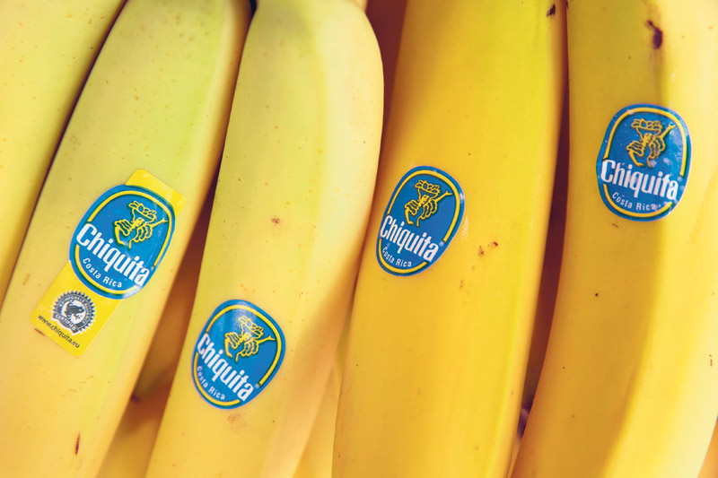 chiquita