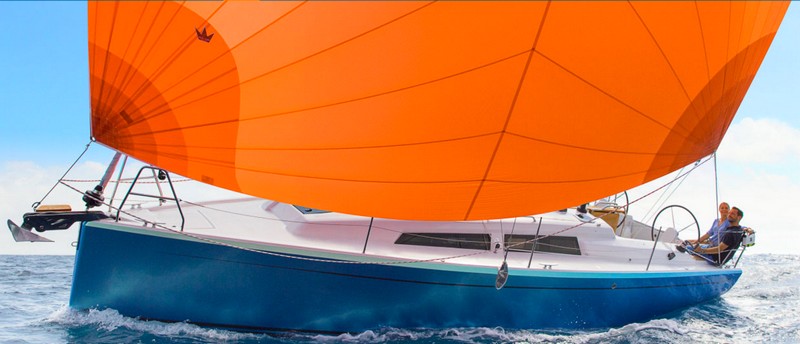 hanse-315.jpg