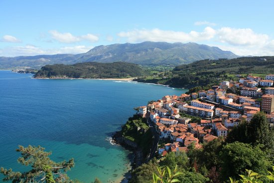 viveiro.jpg