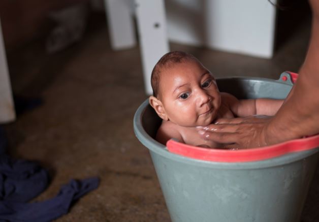 zika_1.JPG