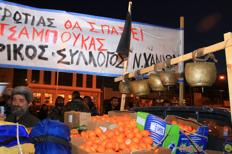 agrotes4.jpg