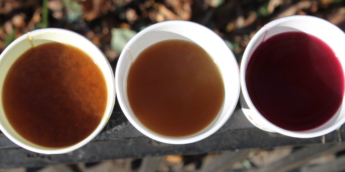11-bone-broth