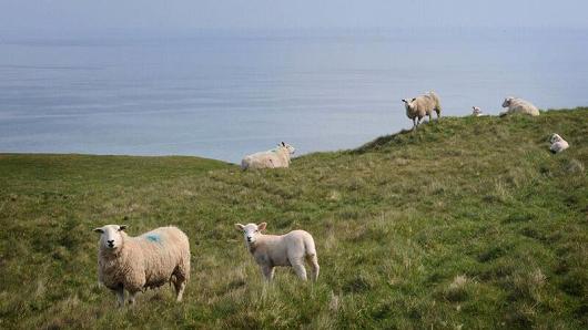 wales2