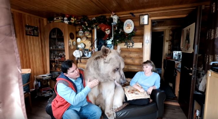 11243-1alotg6