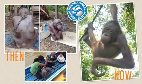 1899940 10153095567519910 776464679853191204 n