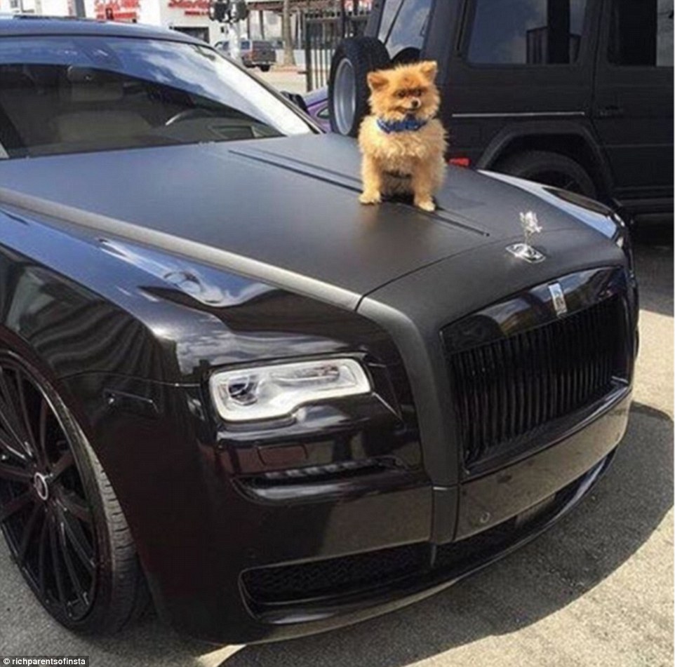3501B70B00000578-3629123-It seems to be something of a trend for rich parents to show off-a-36 1465300206789