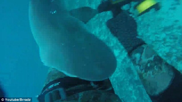 3555DFA500000578-3644208-image-a-16 1466057648412