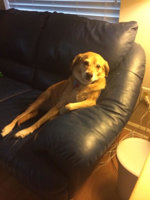 alan