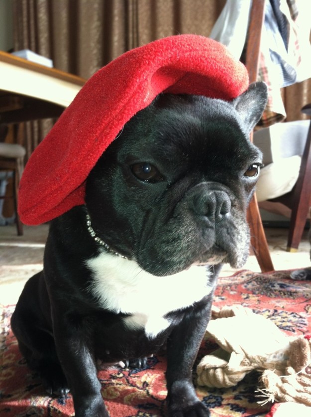 pierre