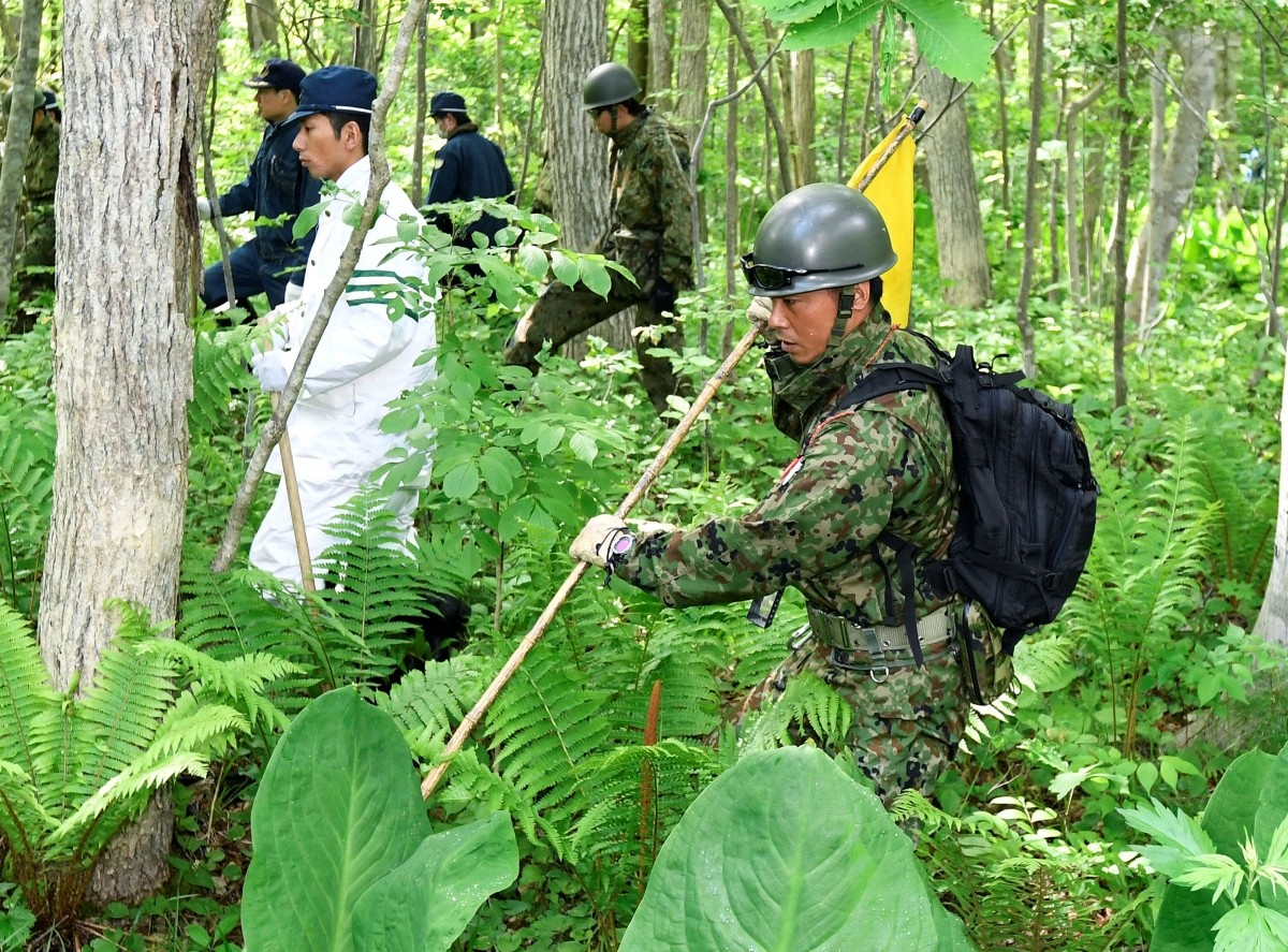 japan1
