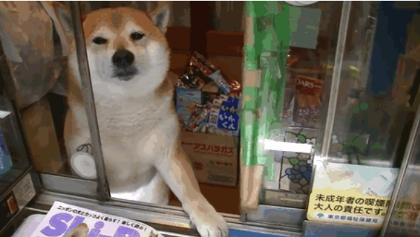 akita00.png