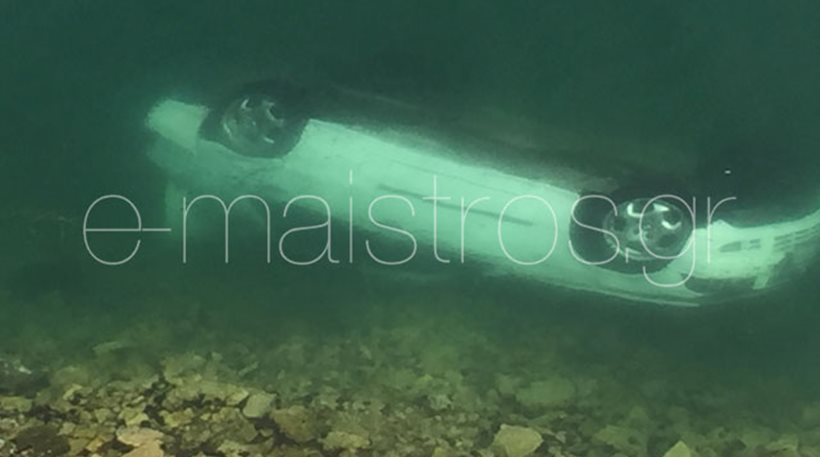 amfiloxia.jpg