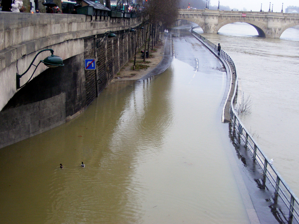 la_seine1.jpg