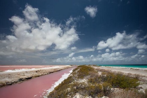 Bonaire-Pink-Beaches