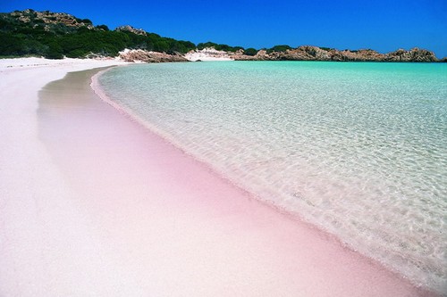 Pink-Beach-in-Budelli