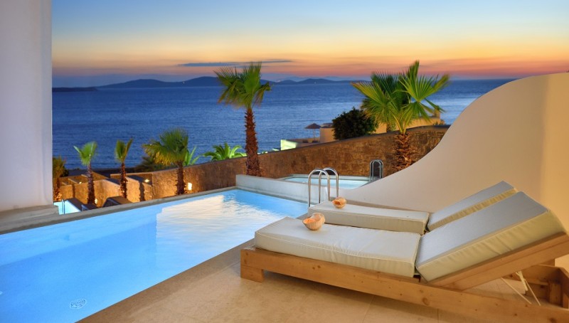 Anax Mykonos2