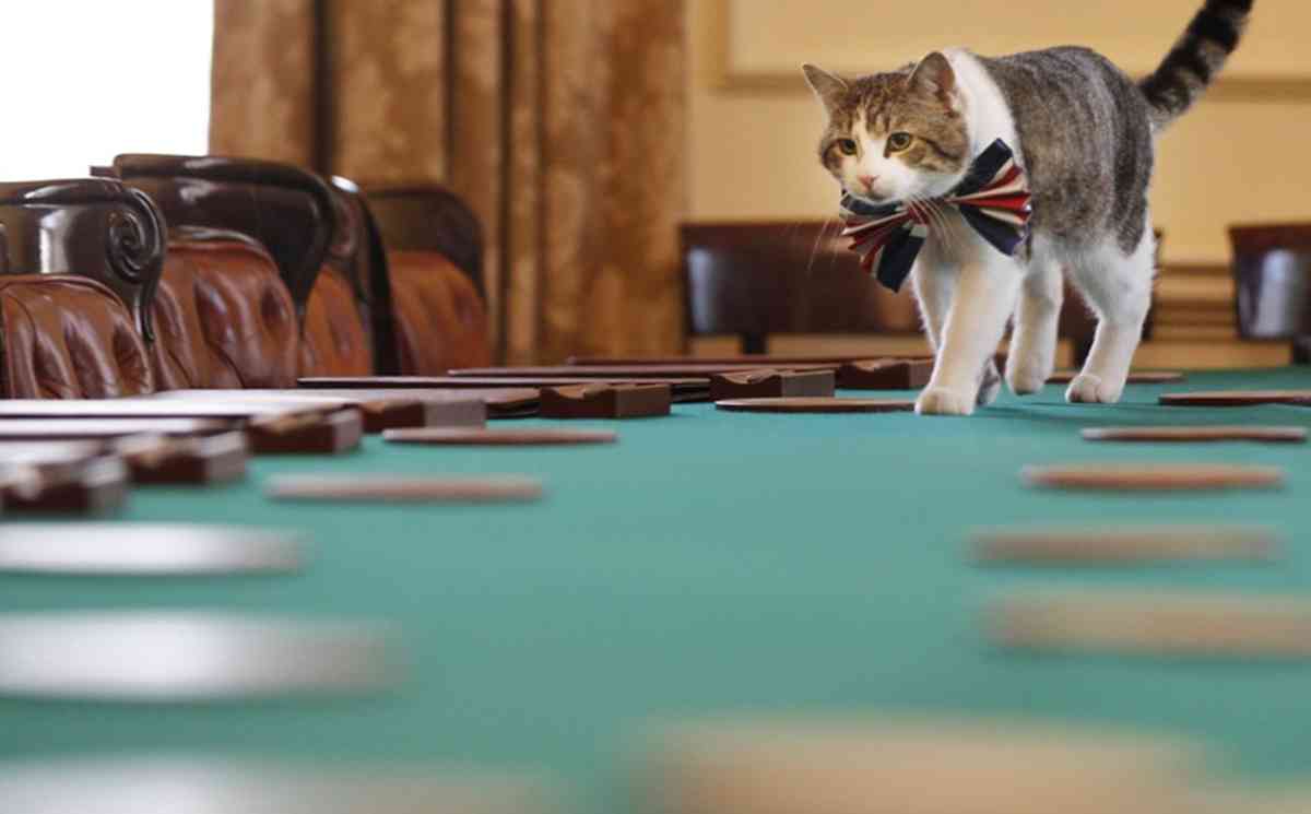 skynews.img.1200.745