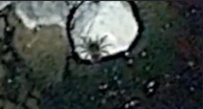araxni_1.JPG